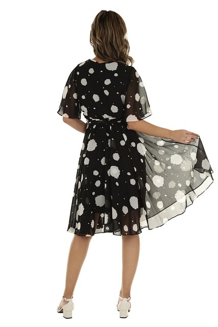 Free Fashion Dress photo and picture