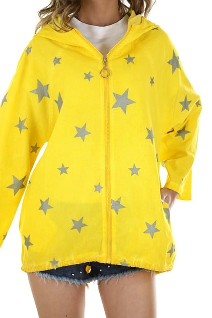 Free Yellow Star photo and picture