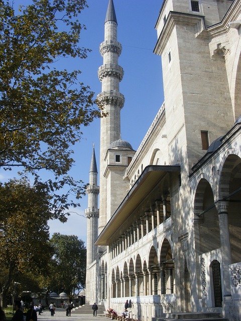 Free Mosque Istanbul photo and picture