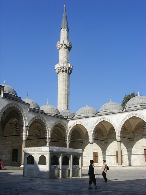 Free Mosque Istanbul photo and picture