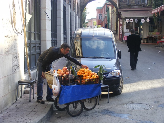 Free Istanbul Street Vendor photo and picture