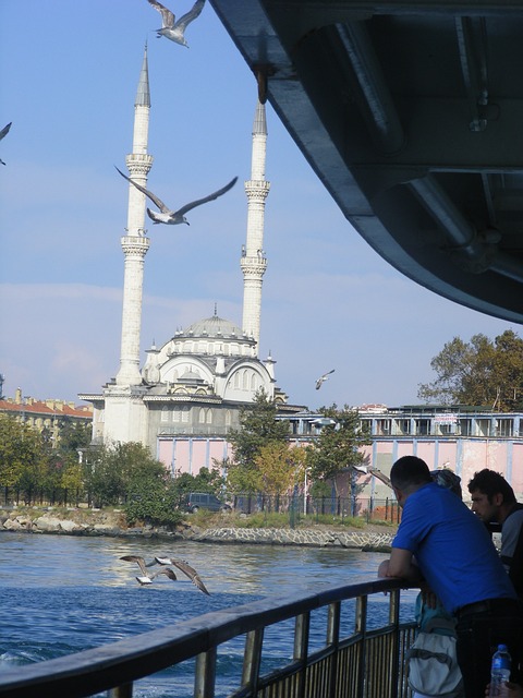 Free Sea Mosque photo and picture
