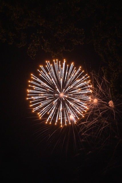 Free Firework Night Sky photo and picture