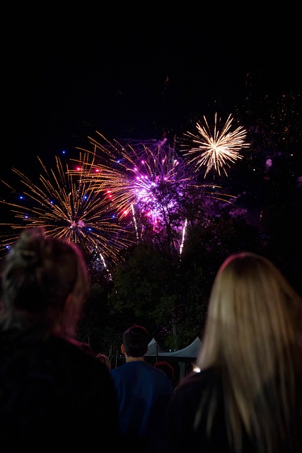 Free Firework Night photo and picture