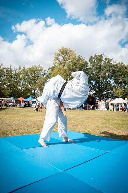 Free Judo Martial Arts photo and picture