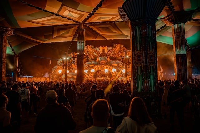 Free Festival Dancer photo and picture