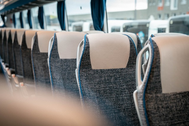 Free Bus Seat photo and picture