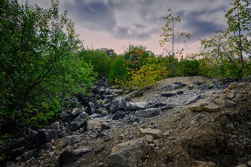 Skalnatý, Príroda, Les, Kamene