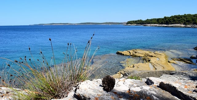 Free Sea Coast photo and picture