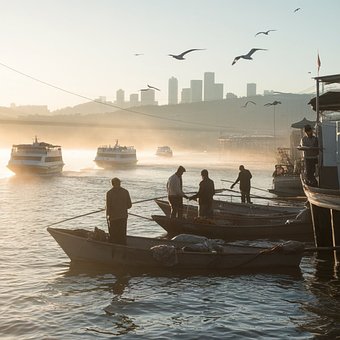 Porto, Barcos, Natureza, Cidade