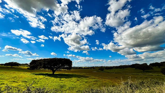 Free Landscape Nature photo and picture