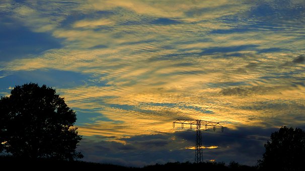 Free Power Tower Tree photo and picture