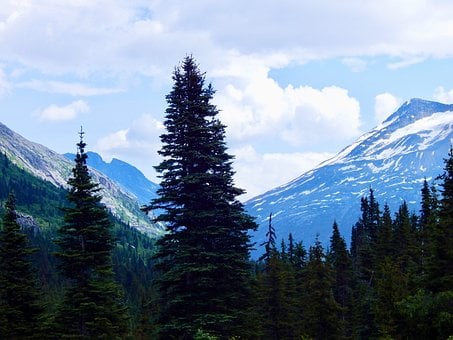 Alaskische Wildnis, Im Freien, Natur