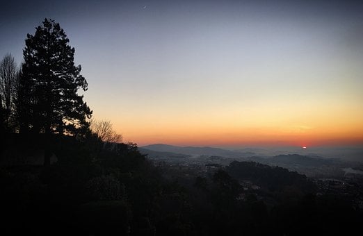 Free Tree Sunset photo and picture