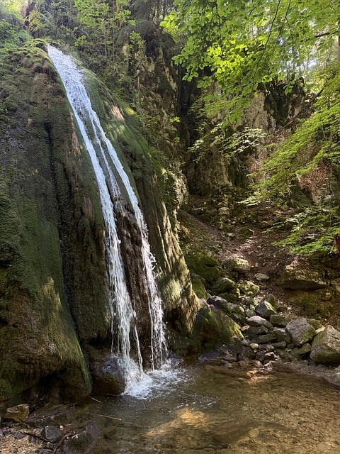 Cascada, Naturaleza, Bosque, Agua, Verde