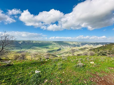 Natur, Landschaft, Grün, Hügel, Ländlich