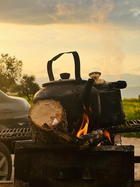 Kessel, Lagerfeuer, Feuer, Holz