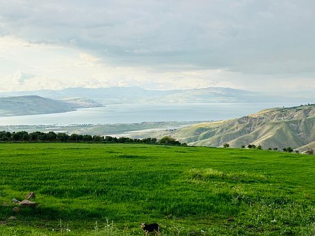 Landschaft, Natur, Grünes Feld, See
