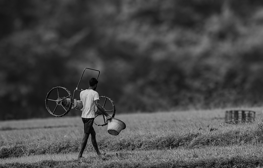 Free Agriculture Farmer photo and picture