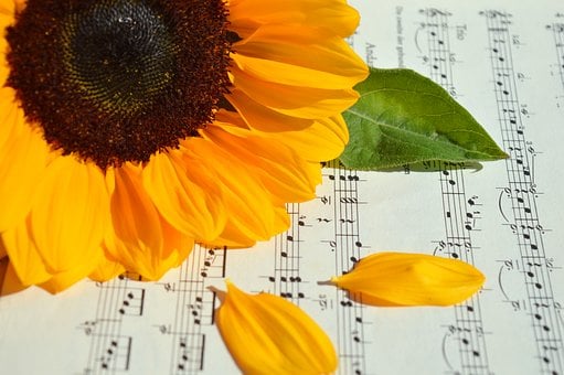 Free Sunflower Sheet Music photo and picture