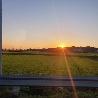 Free Sunset Field photo and picture