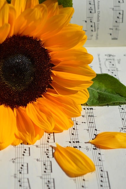 Free Sunflower Sheet Music photo and picture