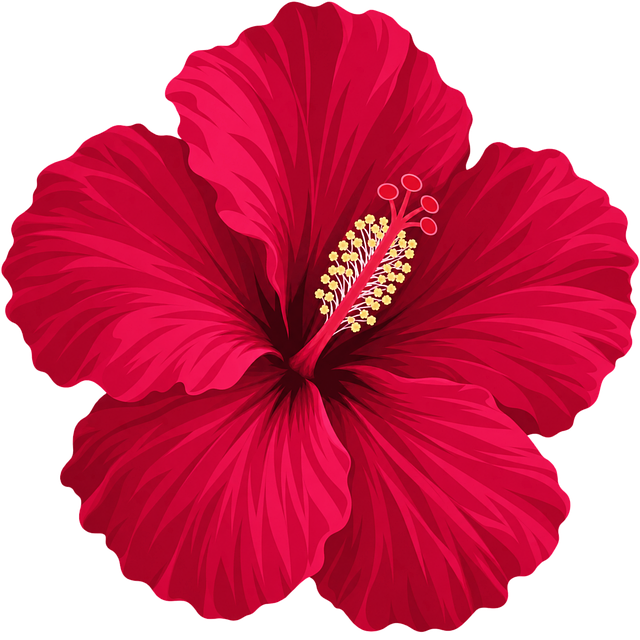 Free hibiscus red flower tropical plant vector