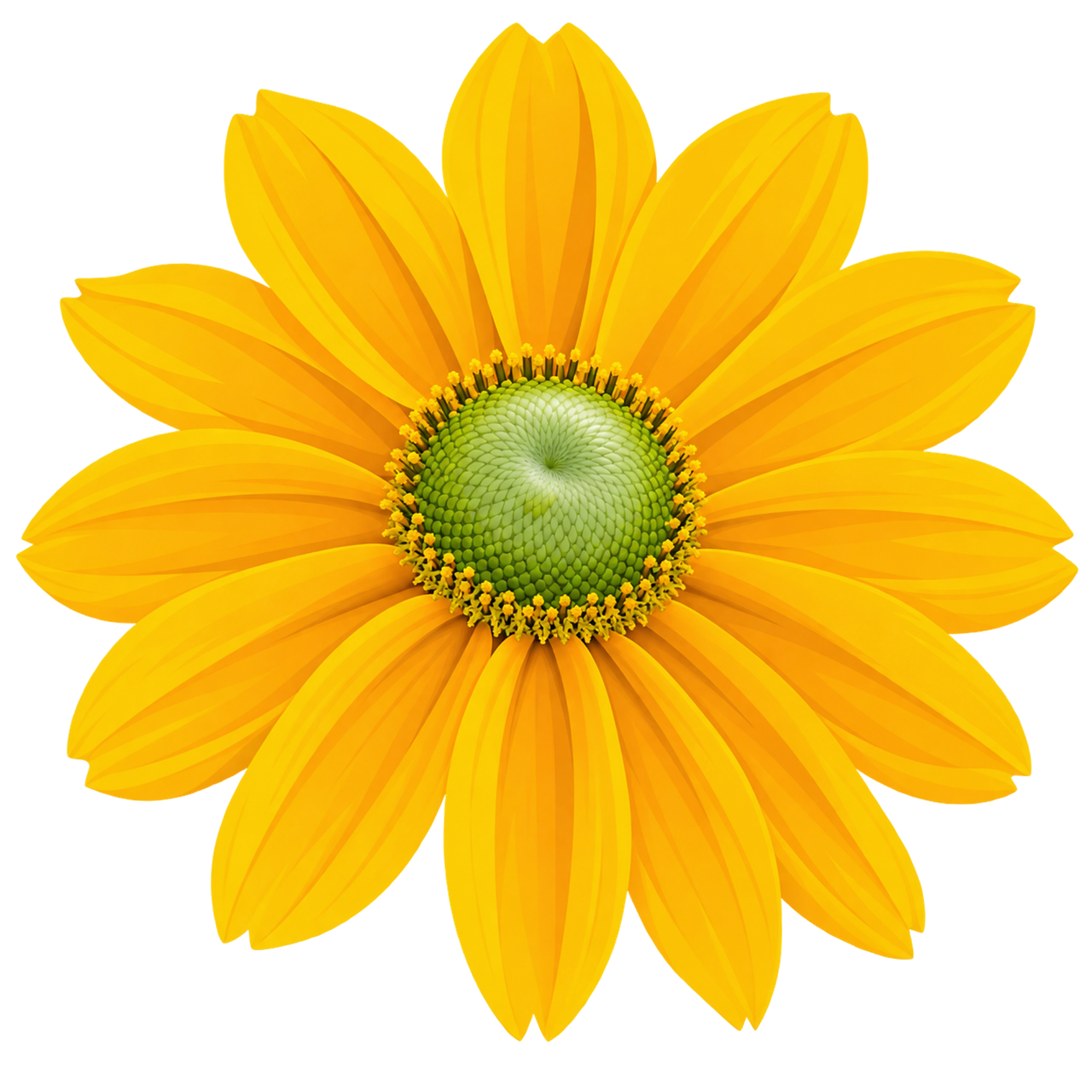 Download free HD stock image of Yellow Flower Coneflower Free yellow flower coneflower garden flower vector
