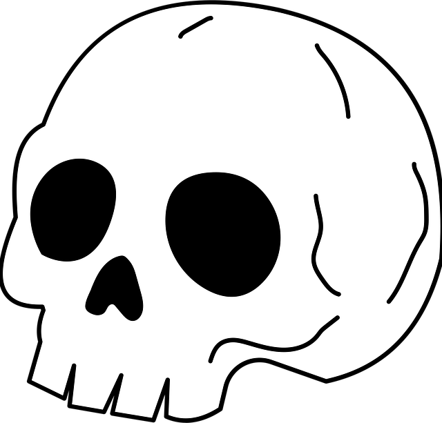 Download free HD stock image of Skull Skeleton Free skull skeleton horror vector