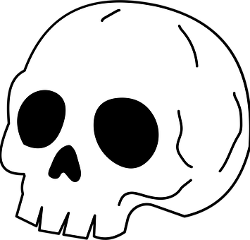 Free Skull Skeleton vector and picture