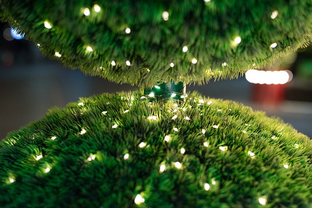 Free Lights Garden photo and picture