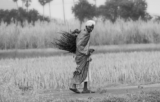 Free Old Woman Black And White Photo photo and picture