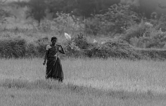 Blanco Y Negro, Mujer, Campo, Naturaleza