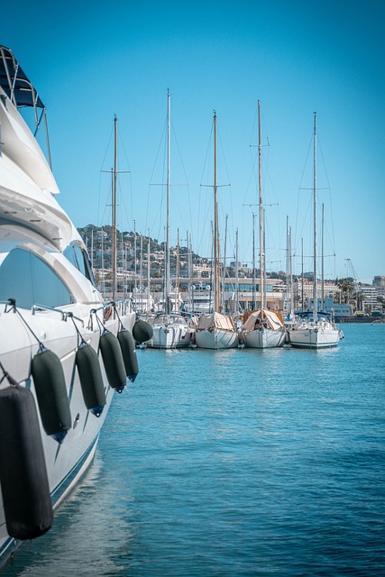Free Yachts Harbor photo and picture