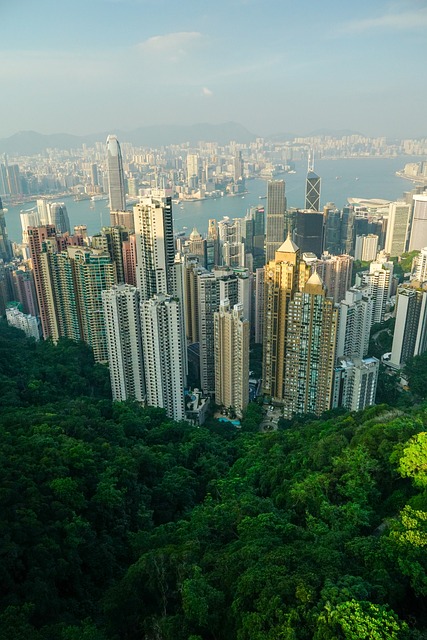 Free Skyscraper Cityscape photo and picture