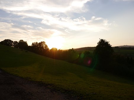 Paisagem, Natureza, Árvores, Bosque