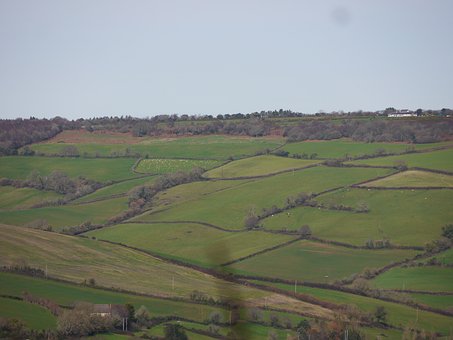 Paisagem, Natureza, Campo, Agricultura