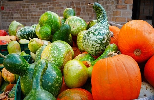 Free Pumpkin Typical photo and picture