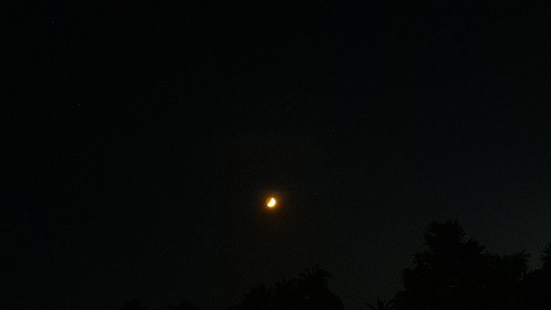 Free Halfmoon Night Sky photo and picture