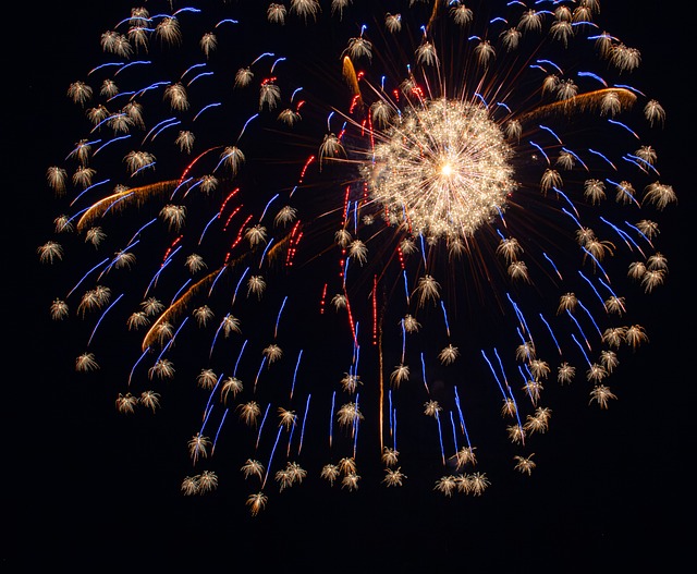 Free Fireworks Night photo and picture