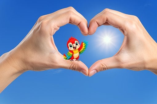 Sonne, Hände, Papagei, Herz, Liebe, Spaß