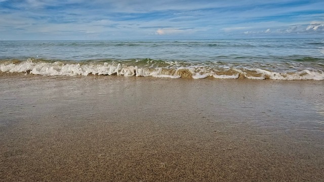 Free Wave Sea photo and picture