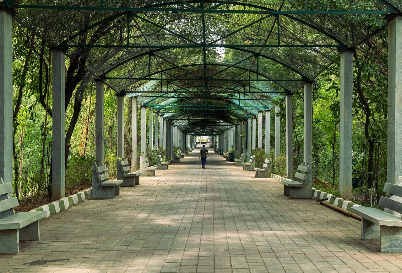 Caminho, Bancos, Jardim, Sombra
