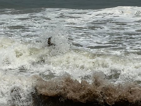 Free Sea Nature photo and picture