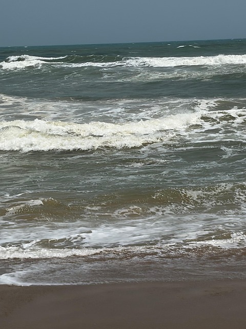 Free Sea Ocean photo and picture