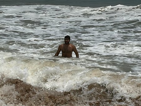 Free Sea Swimmer photo and picture