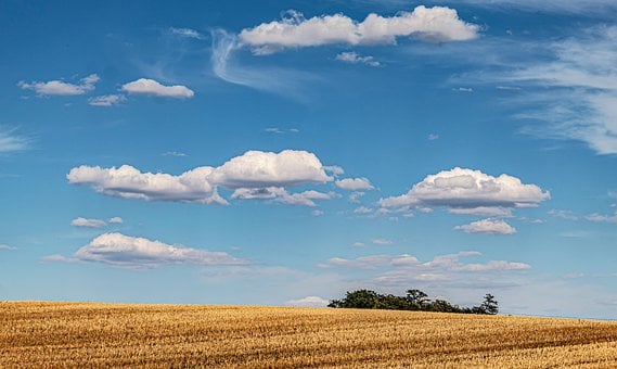 Free Sky Clouds photo and picture