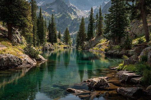 Free Lake Trees photo and picture