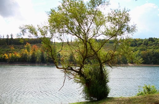 Jezero, Strom, Podzim, Příroda, Scenérie