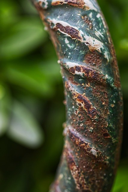 Free Macro Rust photo and picture